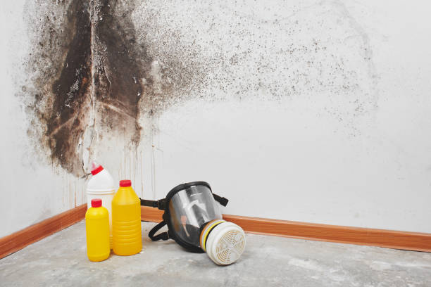 Best Emergency Mold Removal  in Sullivan, MO