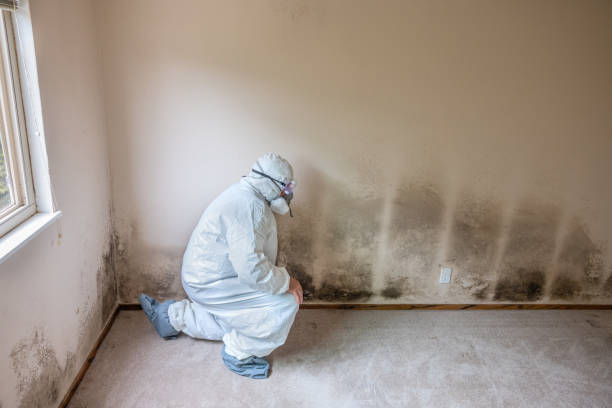 Best Mold Testing  in Sullivan, MO