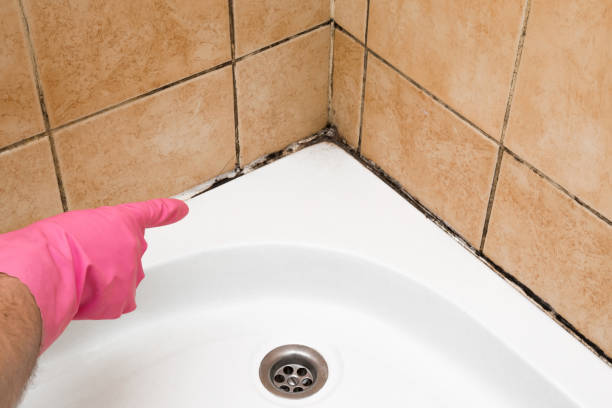 Best Mold Testing  in Sullivan, MO